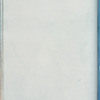 Ulva Linza