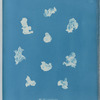 Nostoe commune