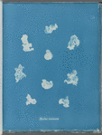 Nostoe commune
