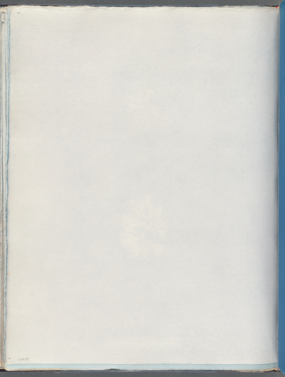 Index