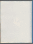 Schizonema parasiticum