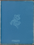 Chylocladia clavellosa β sedifolius