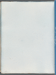 Chylocladia ovalis