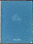 Gelideum corneum var. pulchellum