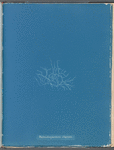 Batrachospermum stagnale