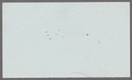 Hook, Levey Anstriss Robinson