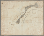 Land, meadow, and mill pond etc. at Gowanus the property of John Rapelie