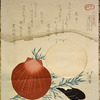 Red shell, white shell, black shell