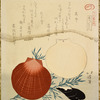 Red shell, white shell, black shell