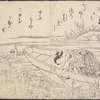 Gathering lotus (late summer)