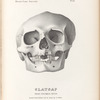 Clatsap