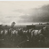 Barnum & Bailey circus wagons traveling at dawn