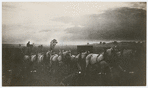 Barnum & Bailey circus wagons traveling at dawn