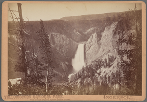 Yellowstone National Park