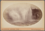 Minute Man Geyser, during eruption