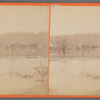 The Great Flood of February 7, 1884, [houses and surrounding land in water], Steubenville, Ohio