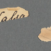 Unidentified Fragments