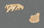 Unidentified Fragments
