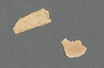 Unidentified Fragments