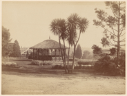 Index