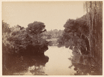 Botanical Gardens. Melbourne