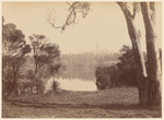 Botanical Gardens. Melbourne