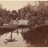 Botanical Gardens. Sydney, N. S. W.