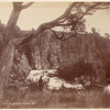 North Esk. Launceston, Tasmania