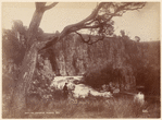North Esk. Launceston, Tasmania
