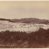 White Terrace. Rotomahana, N. Z.