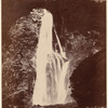 Lady Bowen Falls. Milford Sd., N. Z.