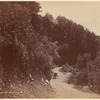 Hokitika Road near Kelly's G[...], N. Z.