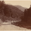 Hokitika Road, N. Z.