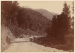 Hokitika Road, N. Z.