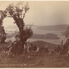 Port Chalmers, from the Junction. N. Z.
