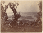 Port Chalmers, from the Junction. N. Z.
