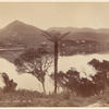 Portobello. Otago Harbor, N. Z.