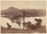 Portobello. Otago Harbor, N. Z.