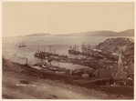 Port Chalmers, N. Z.