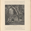 The Virgin's Tree