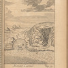 Mount Carmel