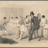 Une chambrée de rats