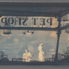 Pal Joey set design (Pet shop)