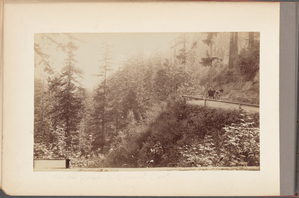Album of photographs of Oregon