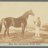 Nadal, Ehrman Syme