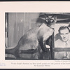 Actors: Pets