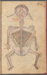 Tasrîh-i Mansûrî. [Back view of a human  skeleton with the head shown from above.]