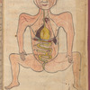 Tasrîh-i Mansûrî  [The human body, illustrating the veins, heart, liver, kidney and intestines]
