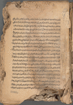Composite volume containing commentary on the Qur'an, Shi'i law, and philosophy