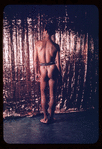 Hugh Laing nude